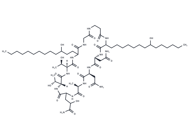 Arborcandin E