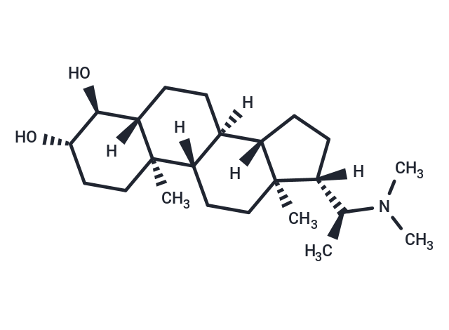 Terminaline