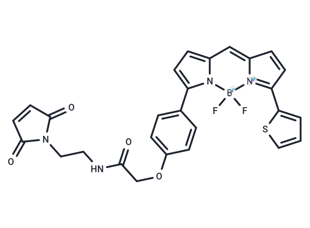 BODIPY TR Maleimide