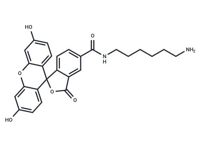 5-FAM-NH2.HCl