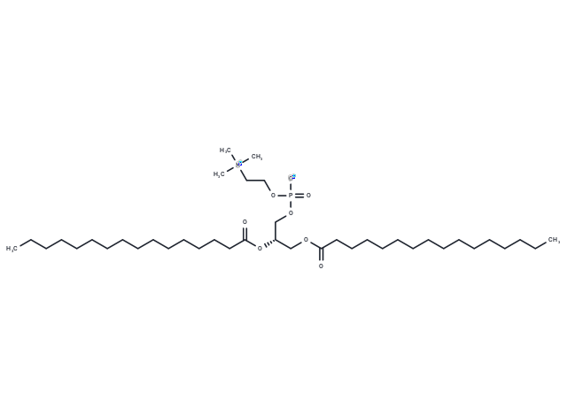 2,3-Dipalmitoyl-sn-glycero-1-phosphocholine, 95%