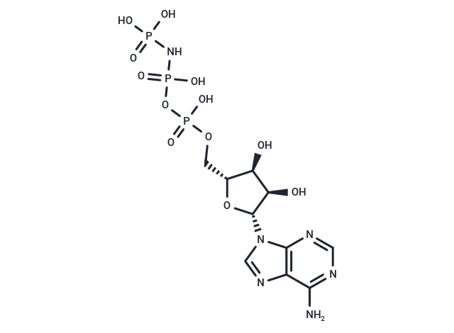 AMP-PNP