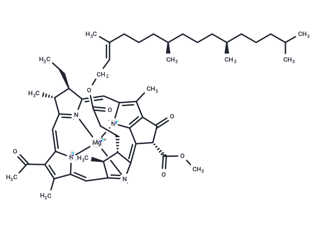 Bacteriochlorophyll a, from Rhodopseudomonas sphaeroides (under argon)