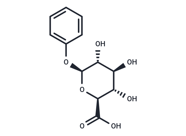 Phenyl-β-D-glucuronide