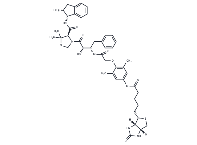 KNI-1293 Biotin