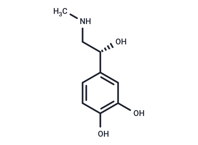 L-Epinephrine (Standard)-10mg
