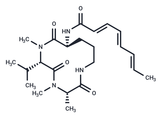 Aspochracin