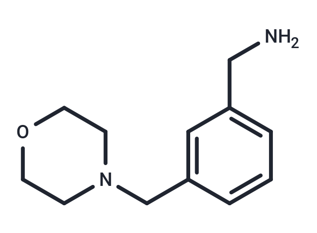 3-Morpholin-4-ylmethyl-benzylamine