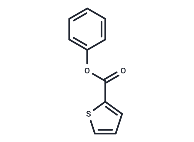 Phenyl 2-thiophenecarboxylate