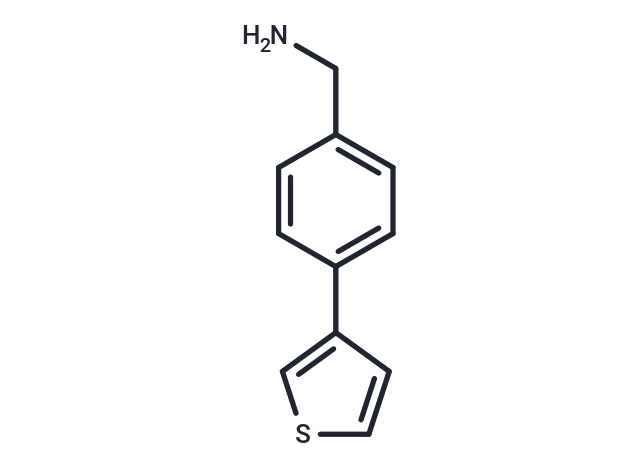 (4-Thien-3-ylphenyl)methylamine