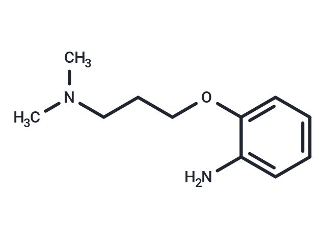2-[3-(Dimethylamino)propoxy]aniline