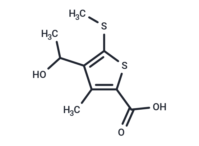 2-Thiophenecarboxylic acid, 4-(1-hydroxyethyl)-3-methyl-5-(methylthio)-