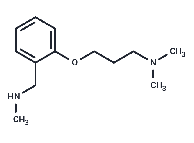 N,N-dimethyl-3-[2-(methylaminomethyl)phenoxy]propan-1-amine