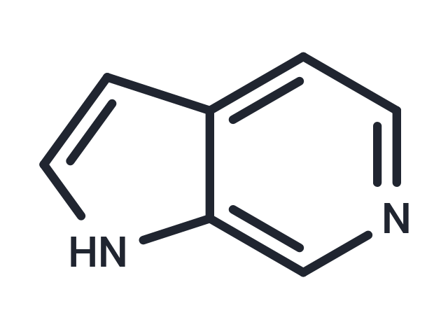 6-Azaindole