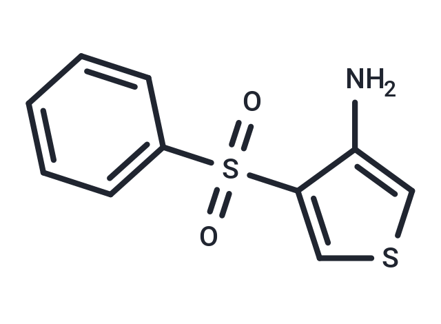 4-(Phenylsulfonyl)thiophen-3-amine