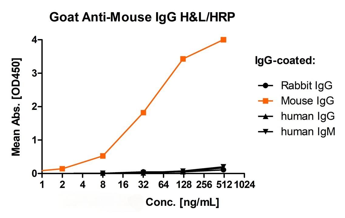 Goat Anti-Mouse IgG H&L Secondary Antibody-HRP