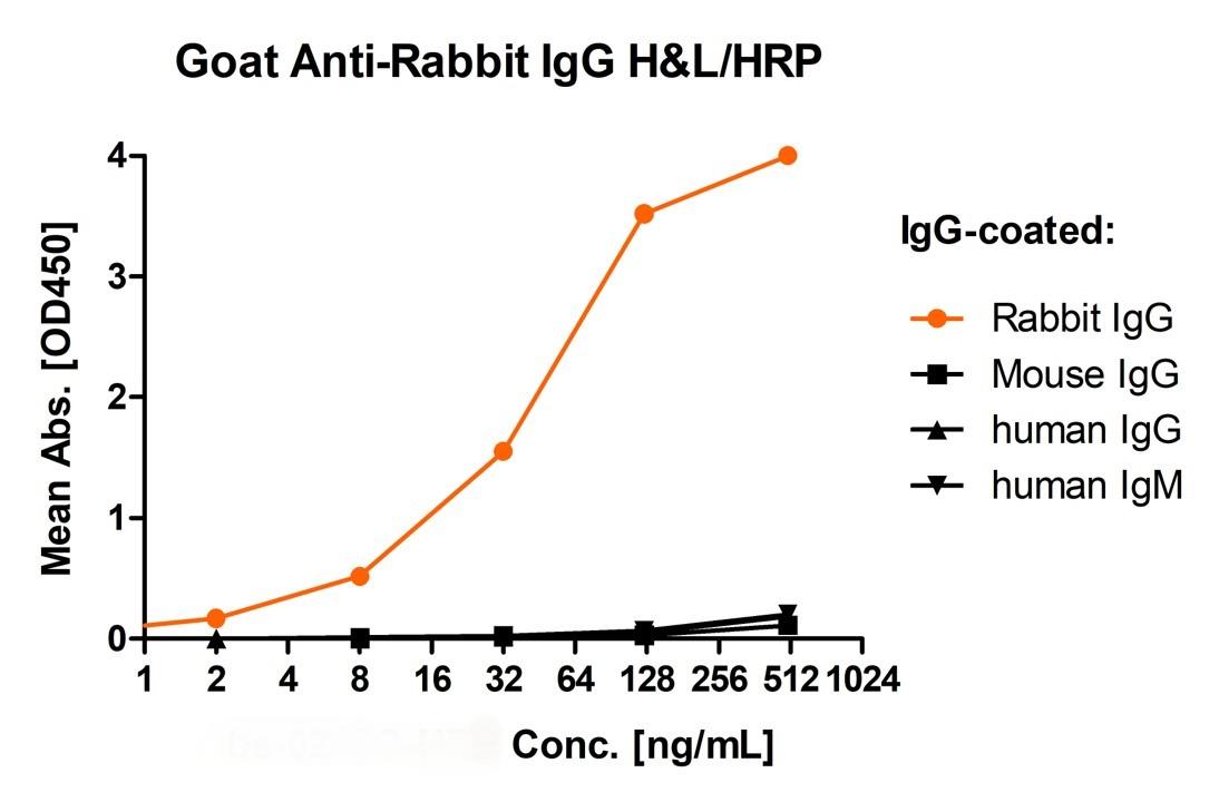 Goat Anti-Rabbit IgG H&L Secondary Antibody-HRP
