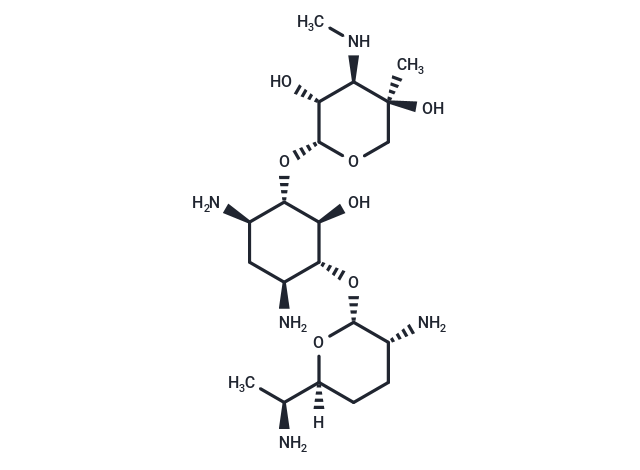 Gentamicin C2a