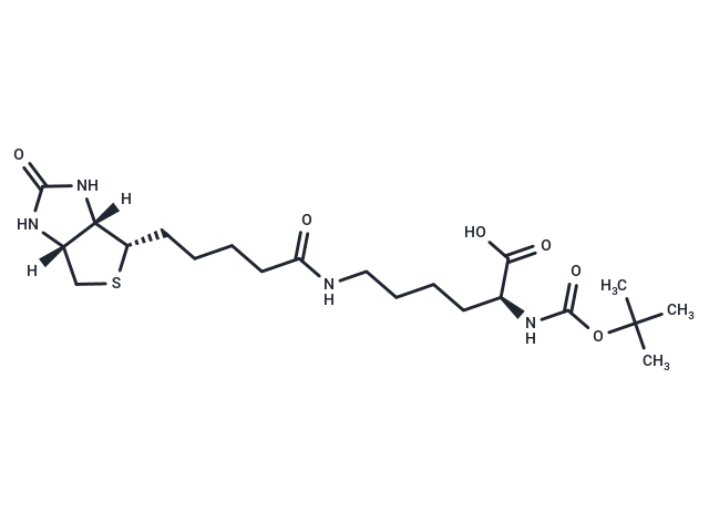 N-Boc-Biocytin