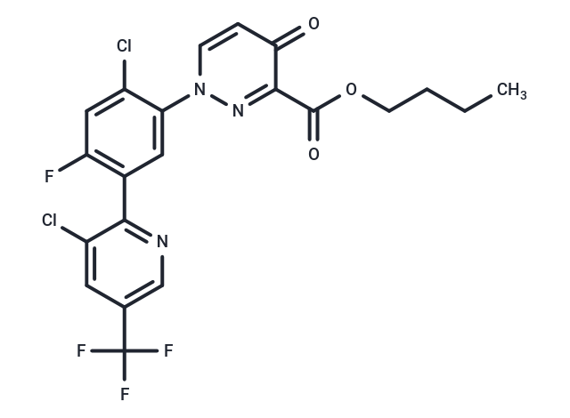 PPO-IN-19
