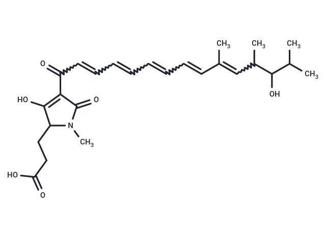 Lipomycin β
