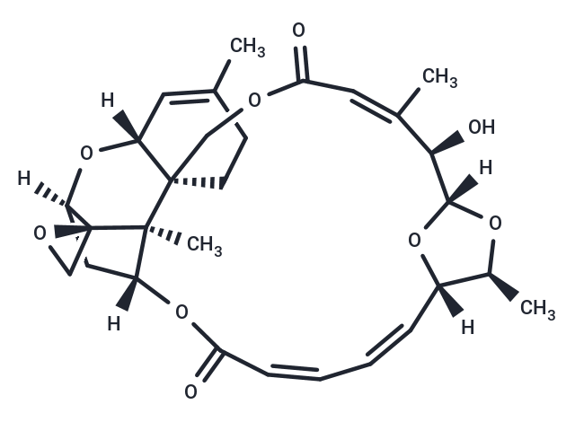 Roridin J