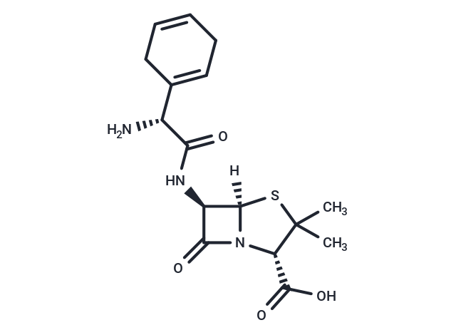Epicillin