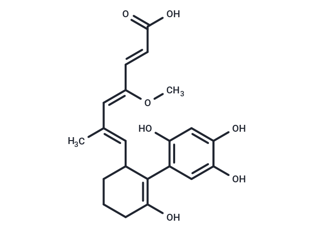Cuevaene B