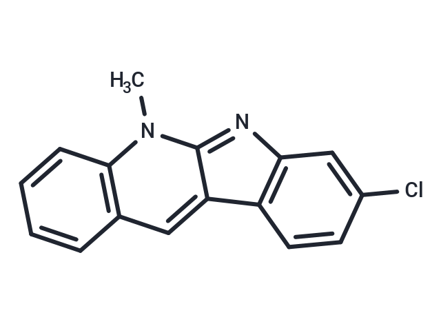 Neocryptolepine-Cl
