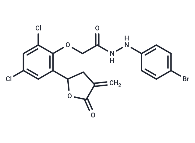 SDH-IN-25