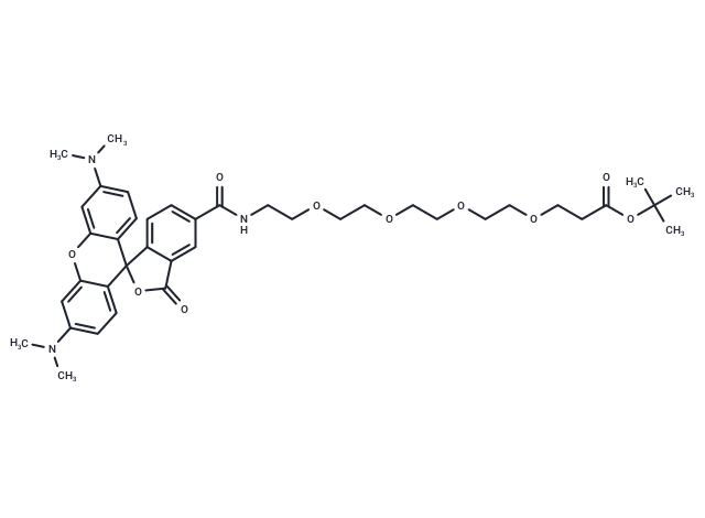 TAMRA-PEG4-t-butyl ester