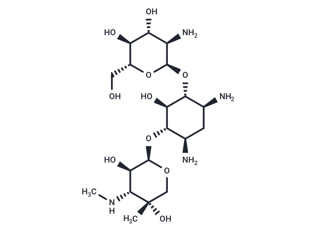 Gentamicin X2