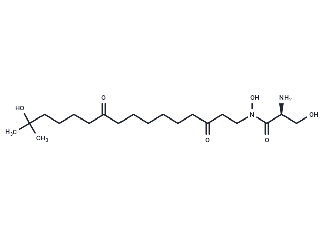 Enactin Ia