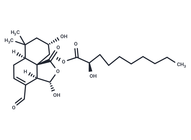 Mniopetal D