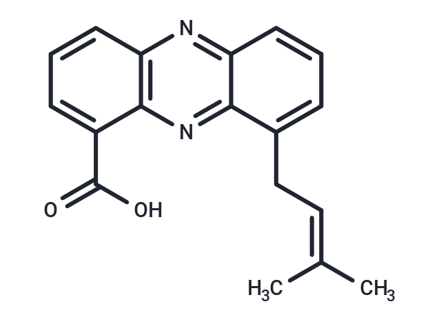 Endophenazine A