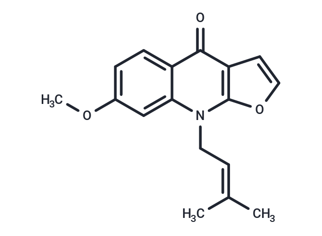Acrophylline