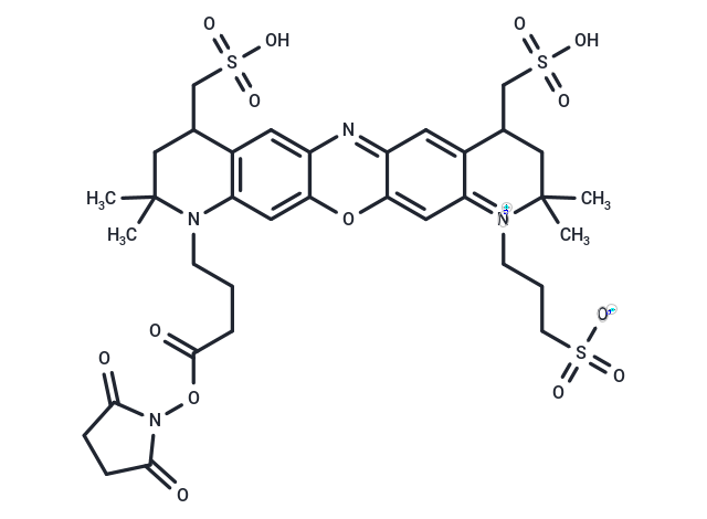 MB 660R NHS Ester