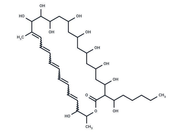 Elizabethin