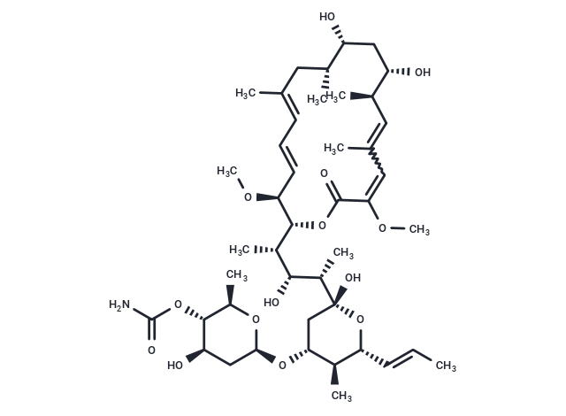 Concanamycin E