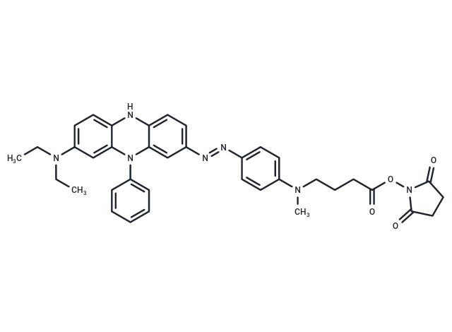 UBQ-3 NHS ester