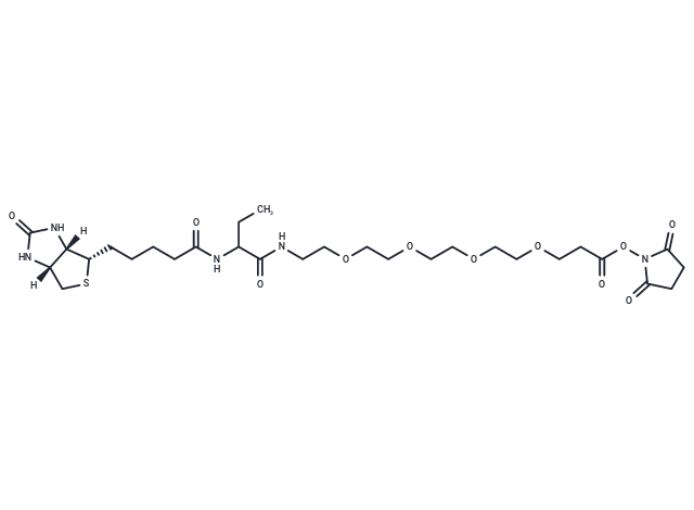 NHS-PEG4-biotinidase resistant biotin