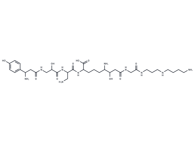 Edeine A1