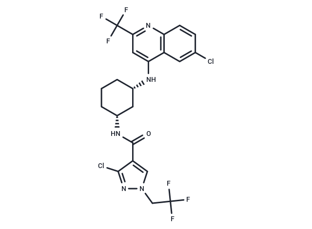 Setomagpran