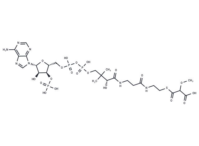 2-Hydroxybutyryl-CoA
