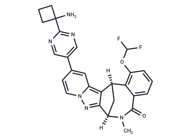 TNF-α-IN-24