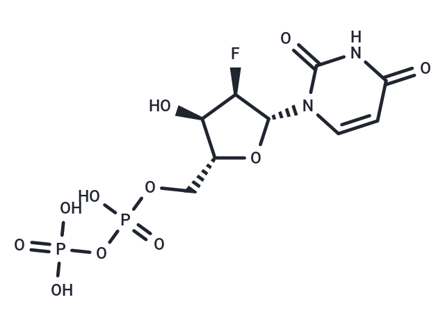 2′-F-UDP