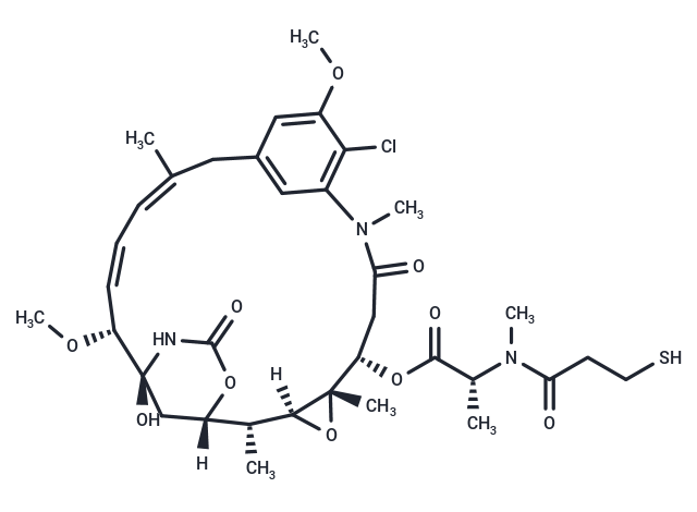 DM1 Impurity