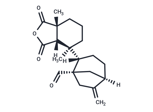 Fujenal