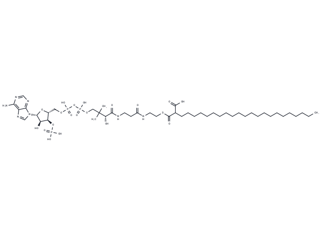 2-Carboxytetracosanoyl-CoA