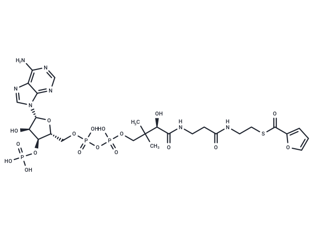 2-Furoic-CoA